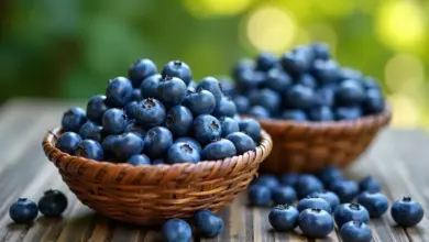 borůvková marmeláda recept krok za krokem – Jak vyrobit borůvkovou marmeládu: podrobný návod