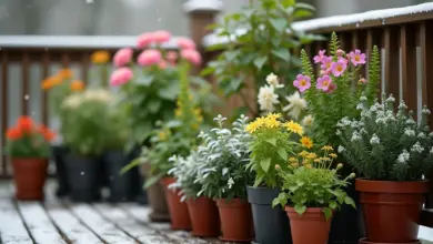 mrazuvzdorné rostliny do nádob pro zahradu – Nejlepší mrazuvzdorné rostliny do nádob pro vaši zahradu