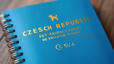 pas pro psa jak vybrat a používat – Praktický průvodce výběrem a používáním pasu pro psa