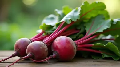 pomazanka z cervene repy recept a tipy – Recept na lahodnou pomazánku z červené řepy