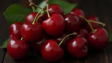 višňová marmeláda recept krok za krokem – Jak připravit višňovou marmeládu: Krok za krokem
