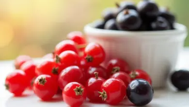 falešné brusinky z červeného rybízu recept – Recept na falešné brusinky z červeného rybízu