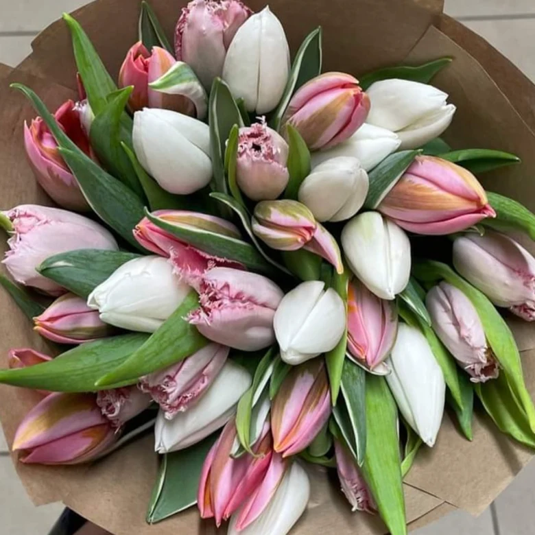 Květinová vazba s růžovými a bílými tulipány