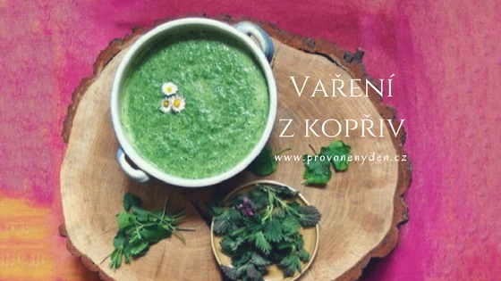 Kopřivová polévka s čerstvou kopřivou na dřevěném podstavci.