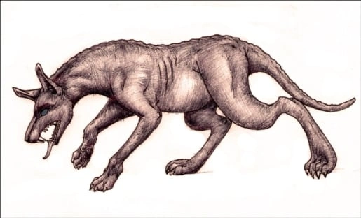 Ilustrace záhadného zvířete čupakabry v běhu.