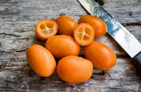 Kumkváty na dřevě s nožem - co je to a jak pěstovat