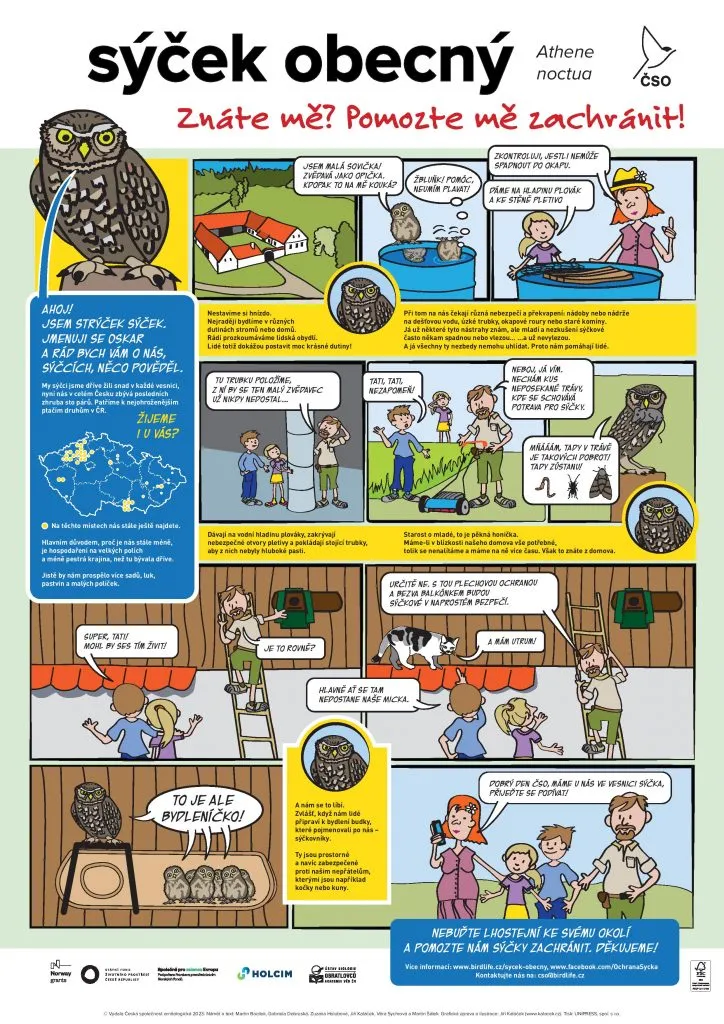 Infografika o péči a ochraně sýčka obecného pro děti.