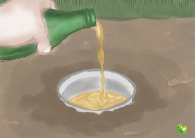 Lék na slimáky: pivo do misky v zahradě